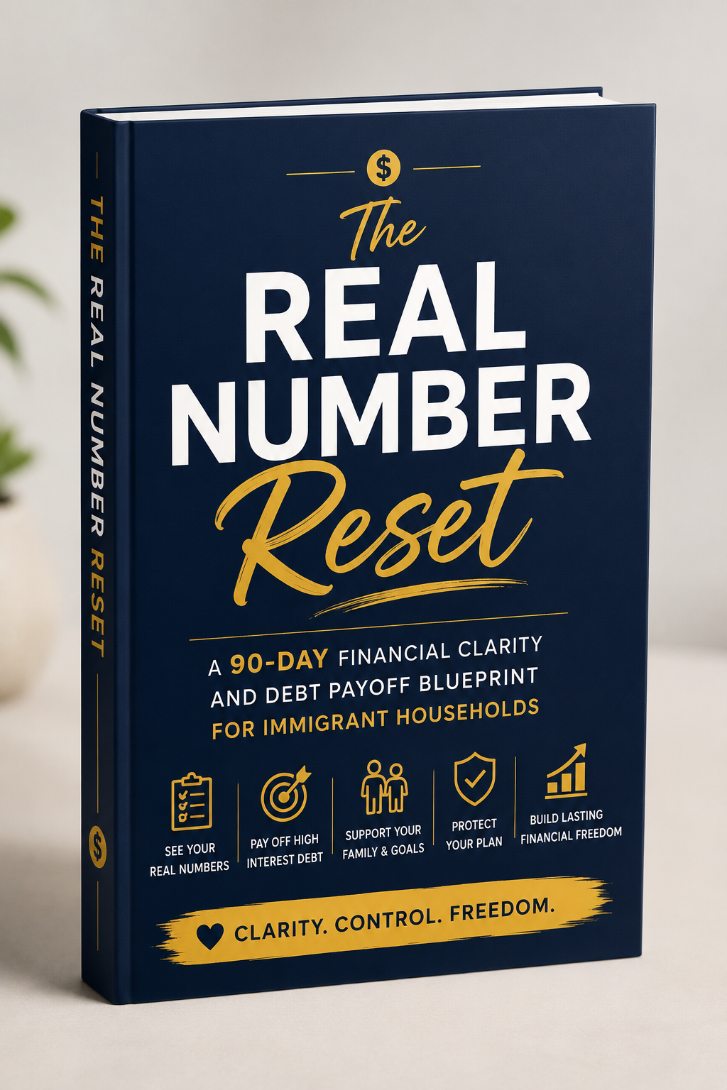 The Real Number Reset 3D book mockup